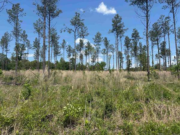 3.5 Acres of Residential Land for Sale in Sheridan, Arkansas