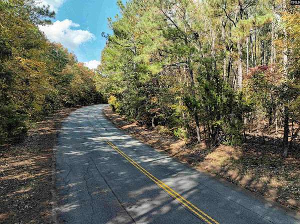 12.6 Acres of Commercial Land for Sale in Chapin, South Carolina