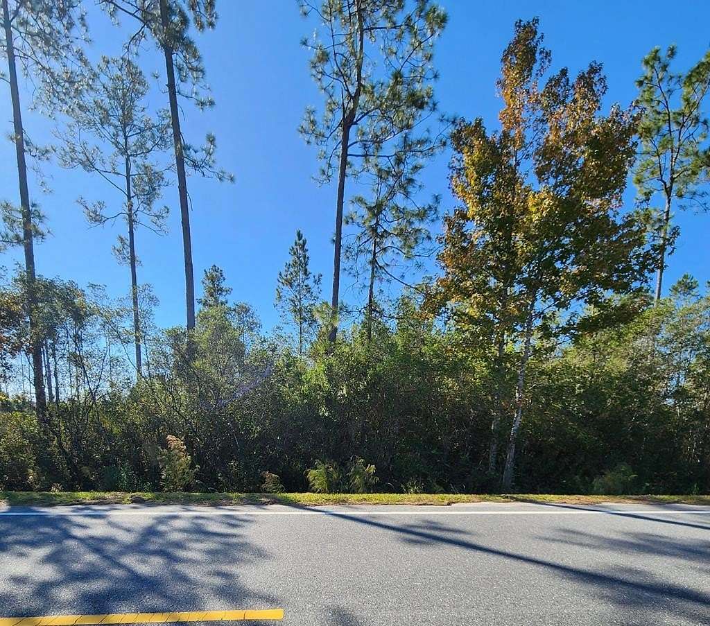 0.5 Acres of Residential Land for Sale in Wewahitchka, Florida
