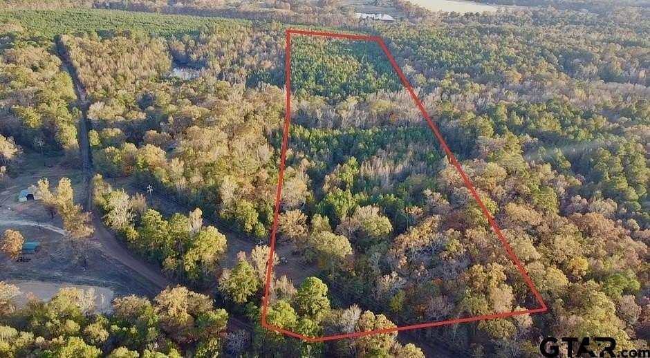 28 Acres of Recreational Land for Sale in Pittsburg, Texas