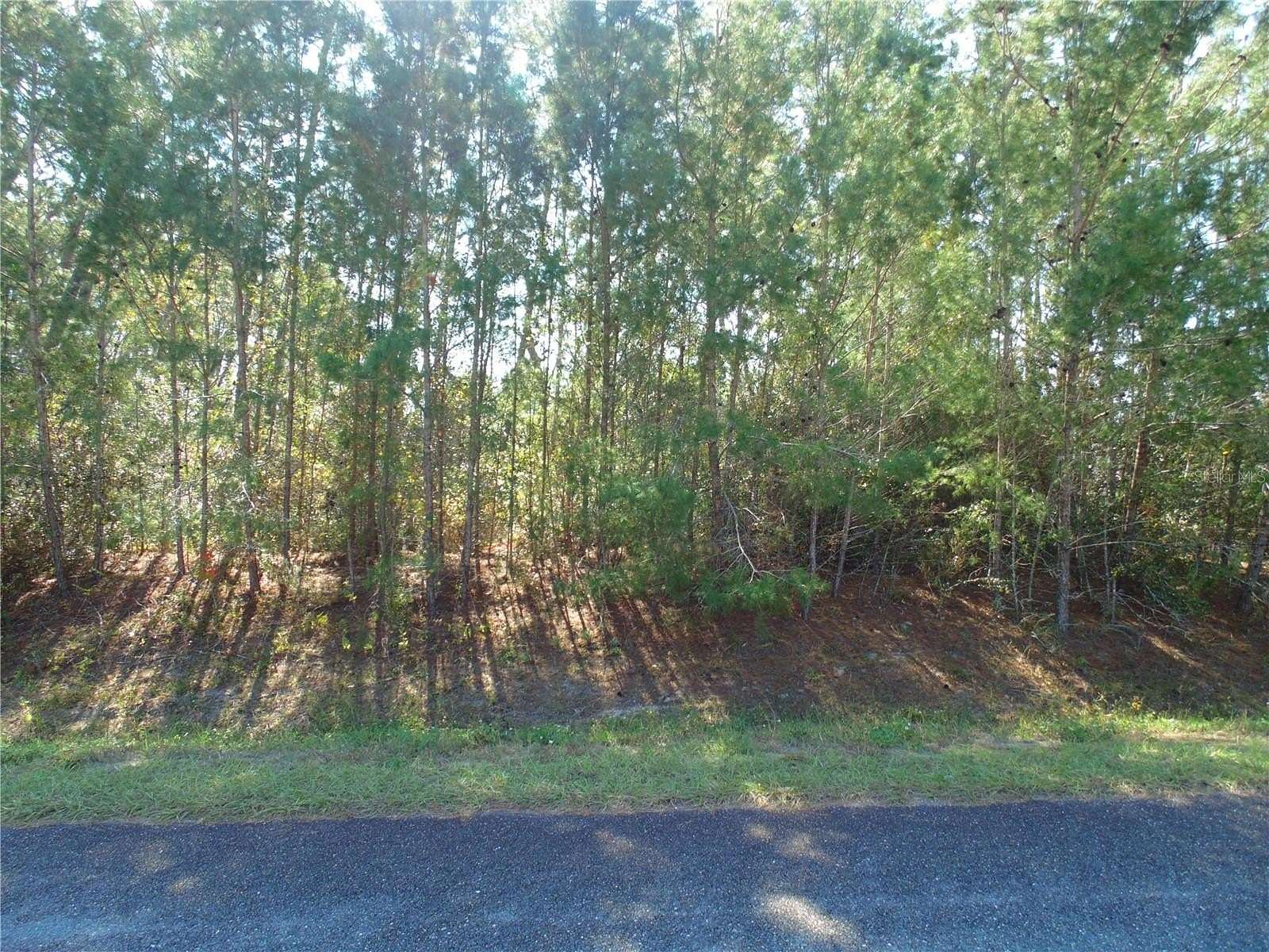 0.62 Acres of Residential Land for Sale in Ocala, Florida