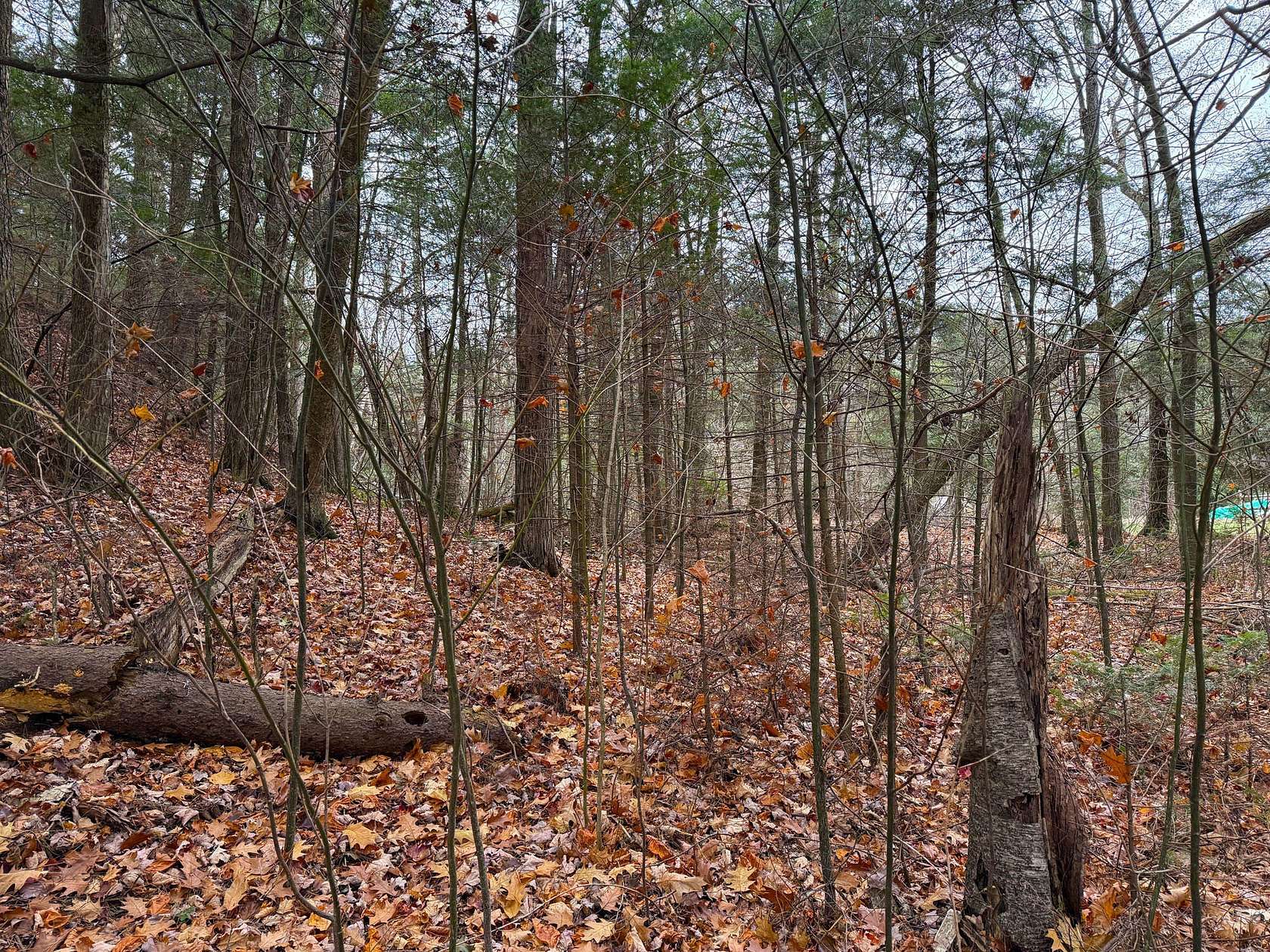 0.45 Acres of Residential Land for Sale in St. Ignace, Michigan