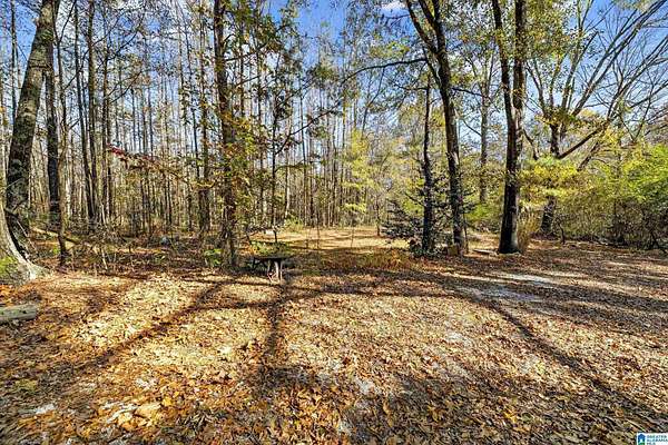5 Acres of Residential Land with Home for Sale in Piedmont, Alabama