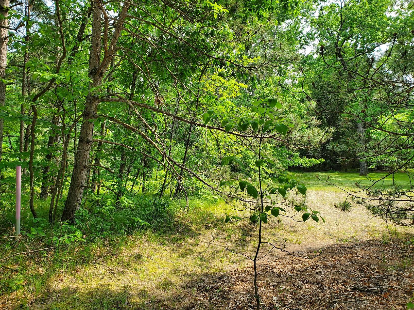 5 Acres of Land for Sale in White Cloud, Michigan