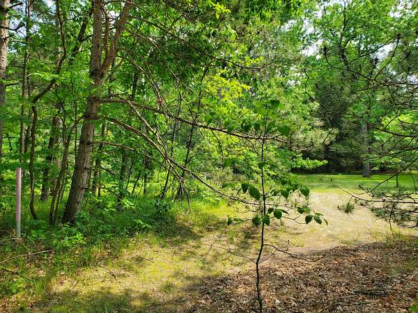 5 Acres of Land for Sale in White Cloud, Michigan