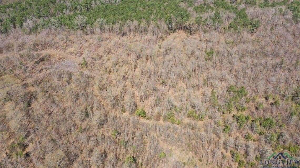 35.4 Acres of Recreational & Residential Land for Sale in Marietta, Texas