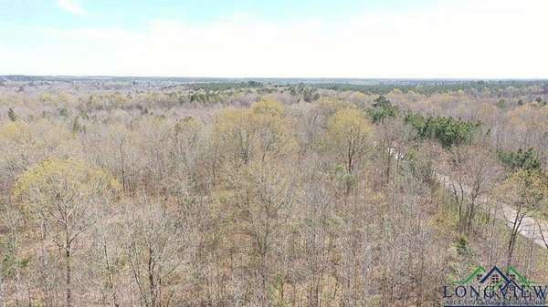 35.4 Acres of Recreational Land for Sale in Marietta, Texas