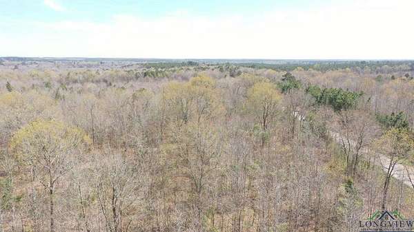35.4 Acres of Recreational & Residential Land for Sale in Marietta, Texas