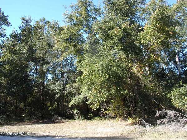 5 Acres of Land for Sale in Crescent City, Florida