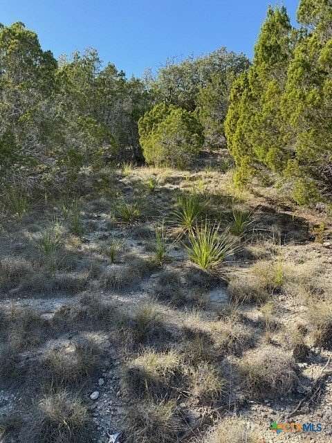 9.17 Acres of Land for Sale in Dripping Springs, Texas