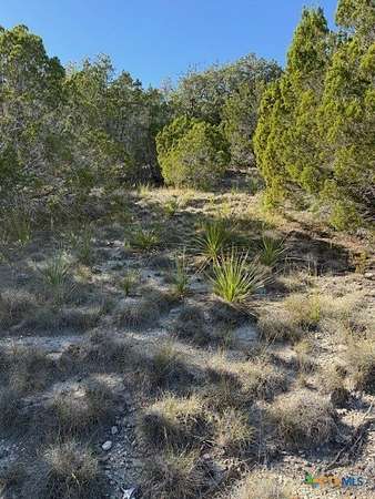9.17 Acres of Land for Sale in Dripping Springs, Texas