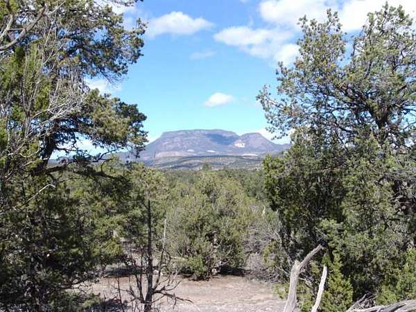 10 Acres of Land for Sale in Datil, New Mexico