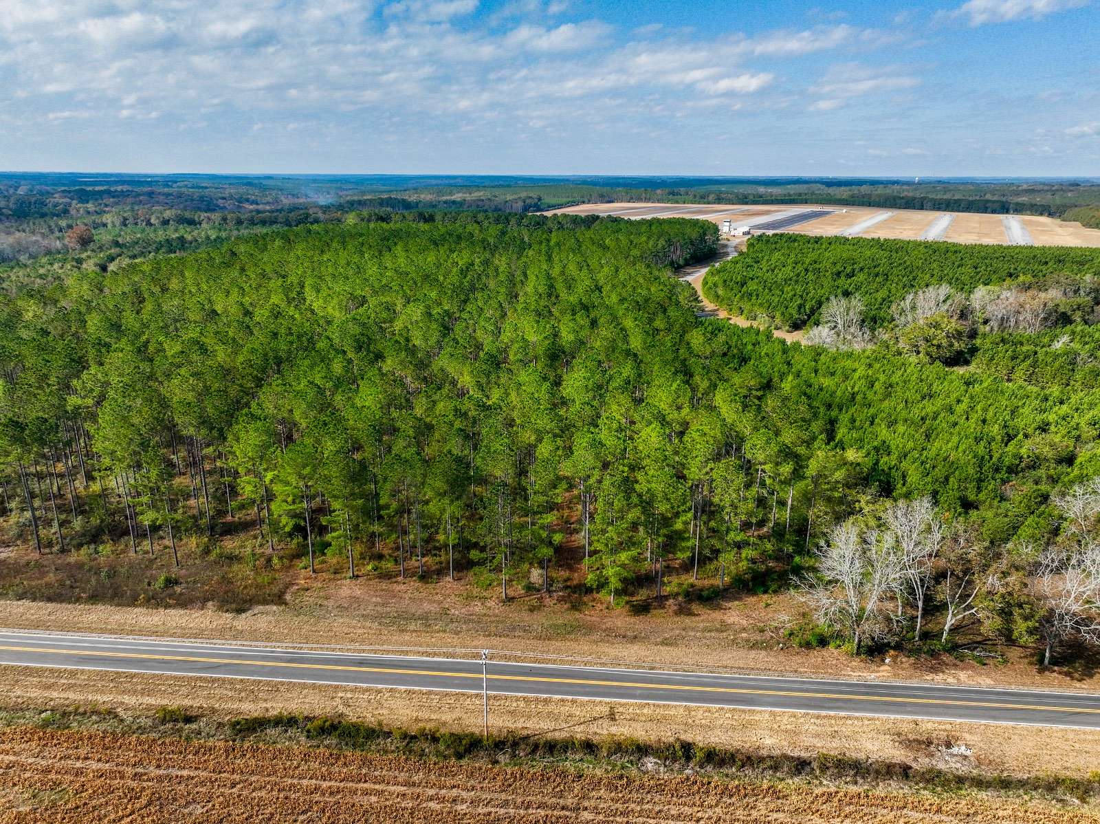 4.25 Acres of Residential Land for Sale in New Brockton, Alabama