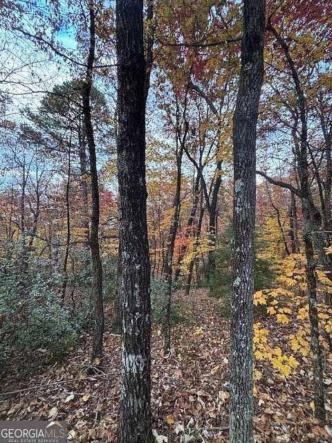 2.86 Acres of Residential Land for Sale in Clarkesville, Georgia