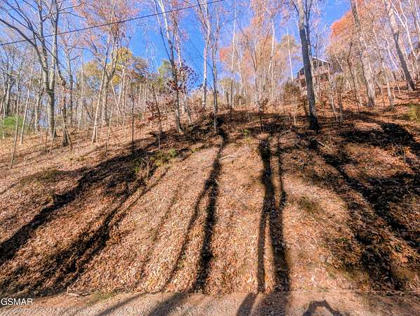 0.37 Acres of Residential Land for Sale in Sevierville, Tennessee