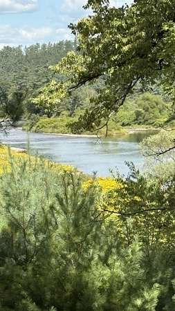 12 Acres of Land for Sale in Lisbon, New Hampshire