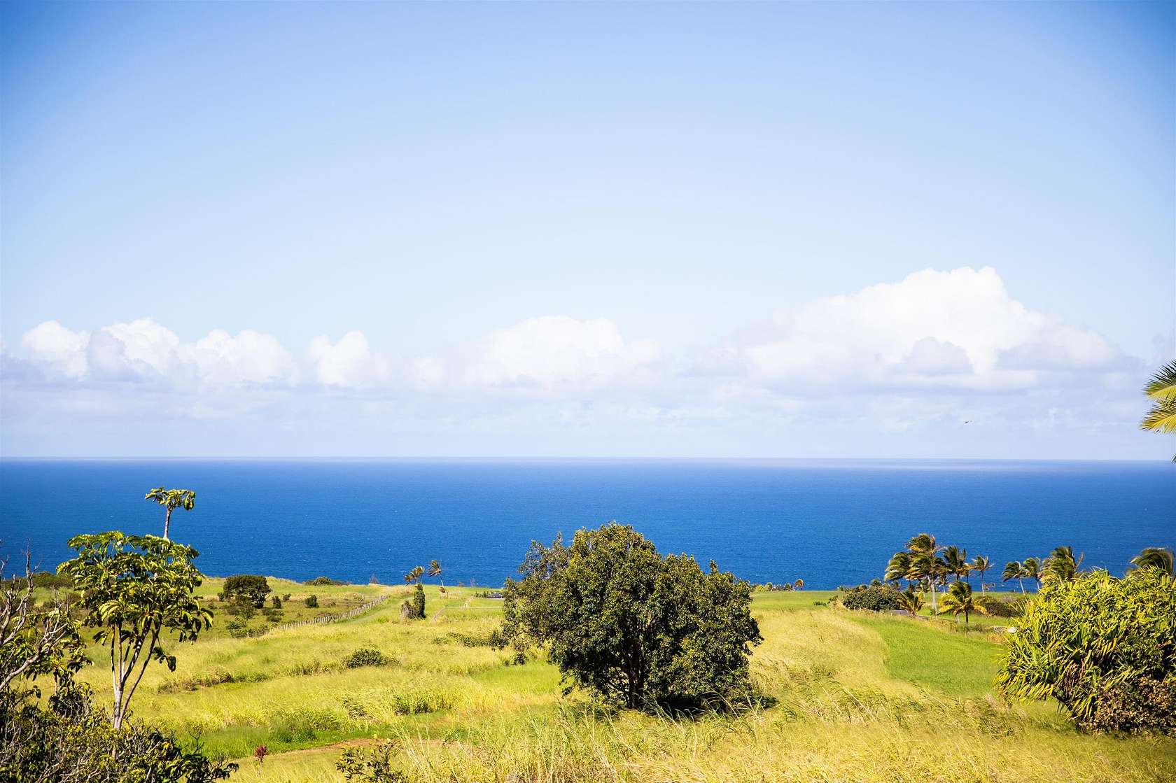 1 Acre of Residential Land for Sale in Haʻikū, Hawaii