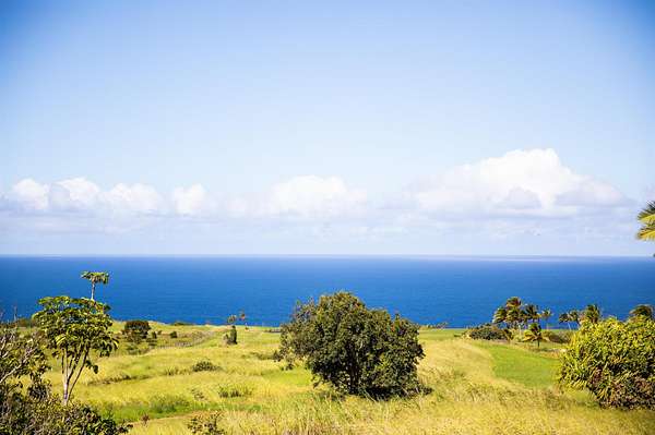1 Acre of Residential Land for Sale in Haʻikū, Hawaii