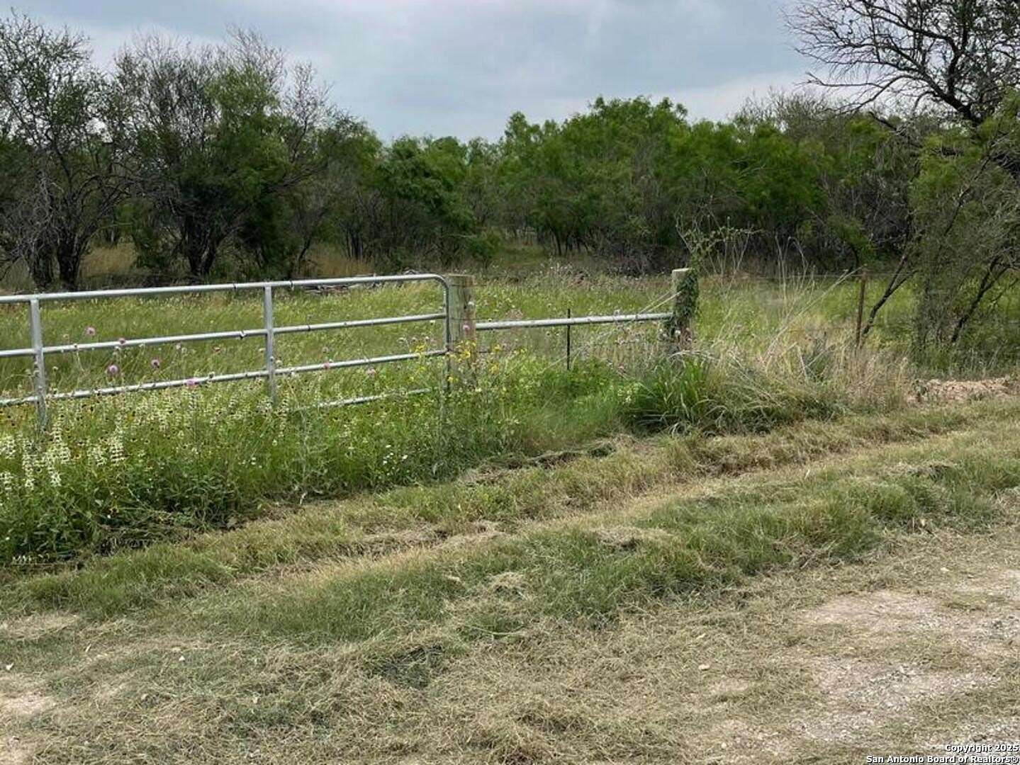 10 Acres of Land for Sale in Jourdanton, Texas