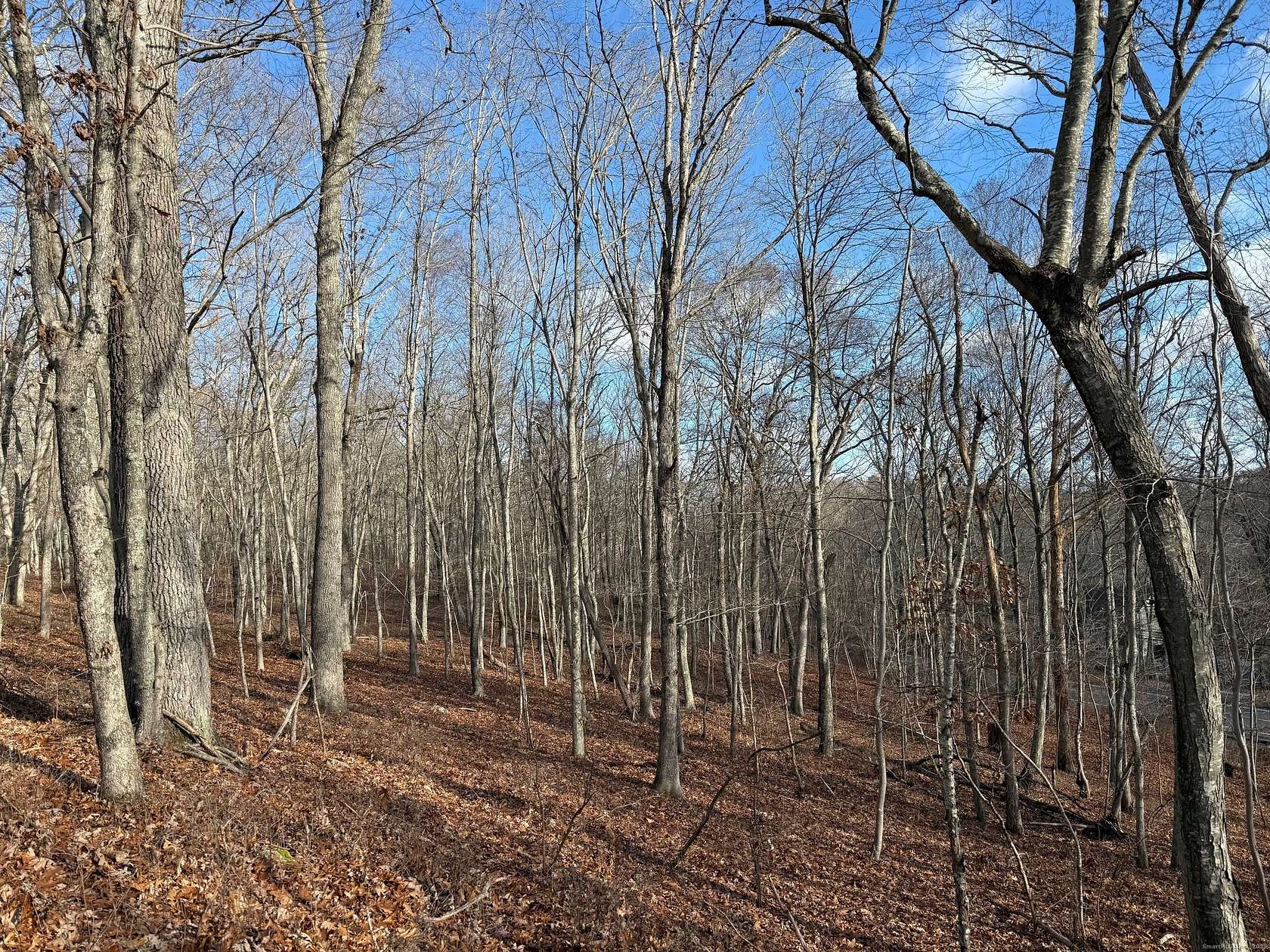 61.7 Acres of Land for Sale in East Lyme Town, Connecticut
