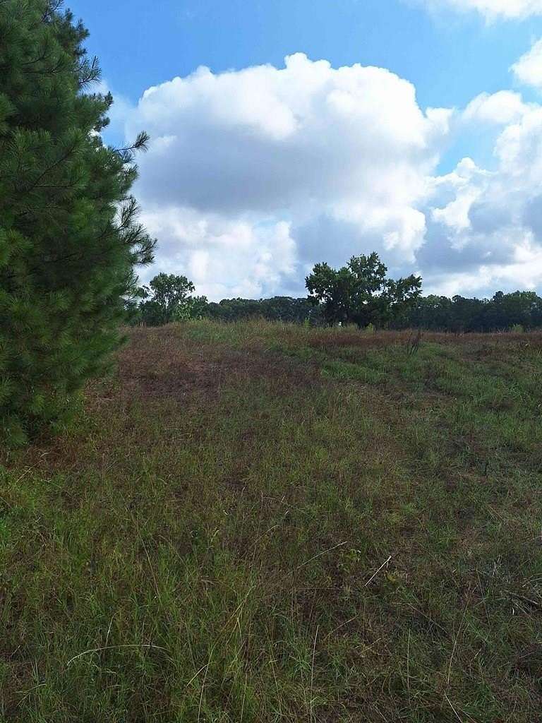 32.8 Acres of Land for Sale in Donalds, South Carolina