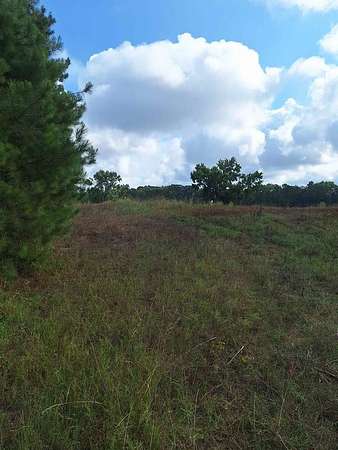 32.8 Acres of Land for Sale in Donalds, South Carolina