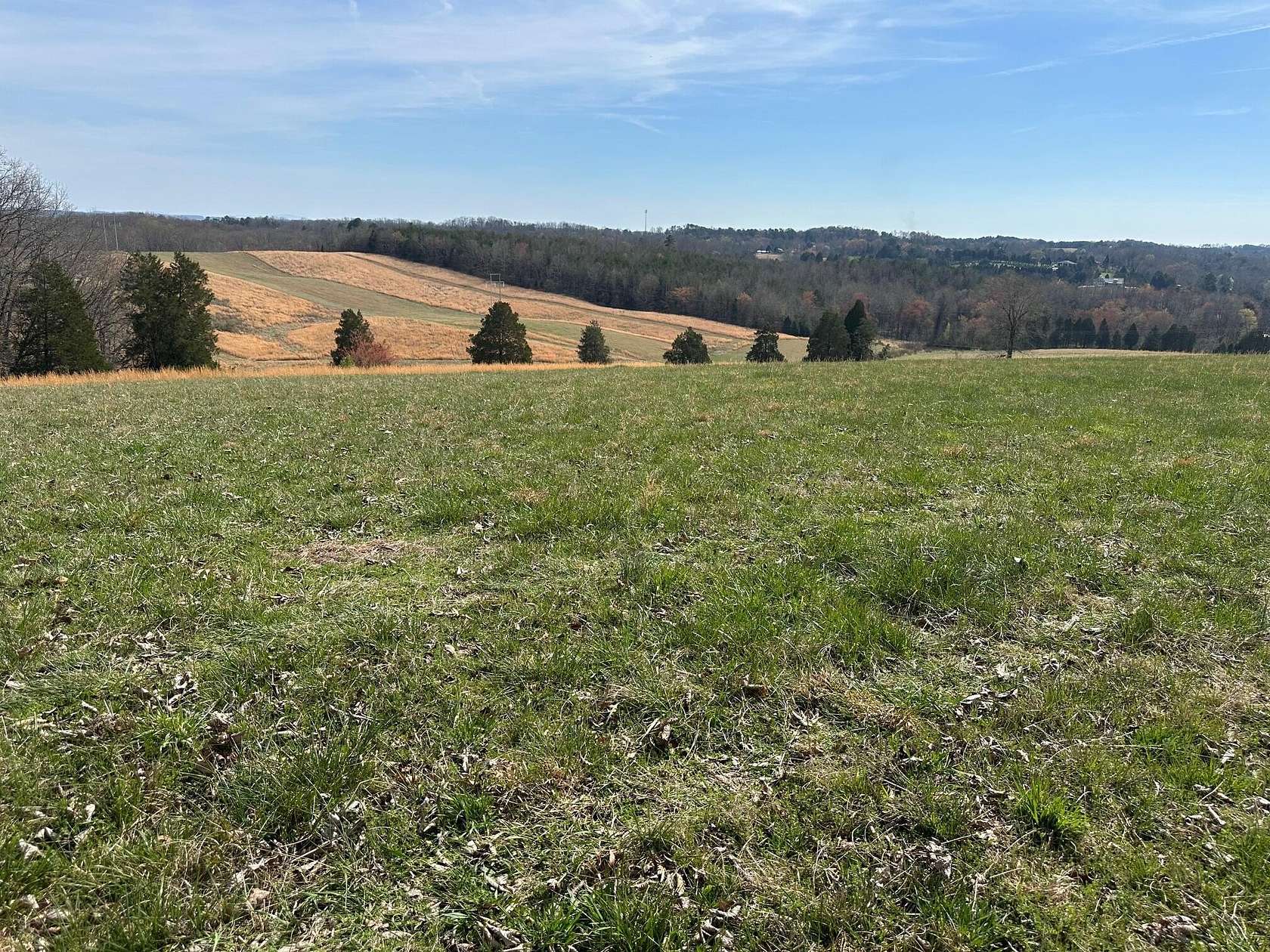 90 Acres of Land for Sale in Spring City, Tennessee