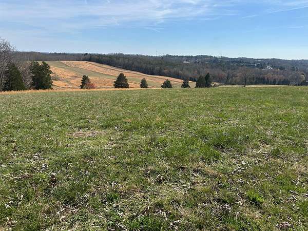 90 Acres of Land for Sale in Spring City, Tennessee