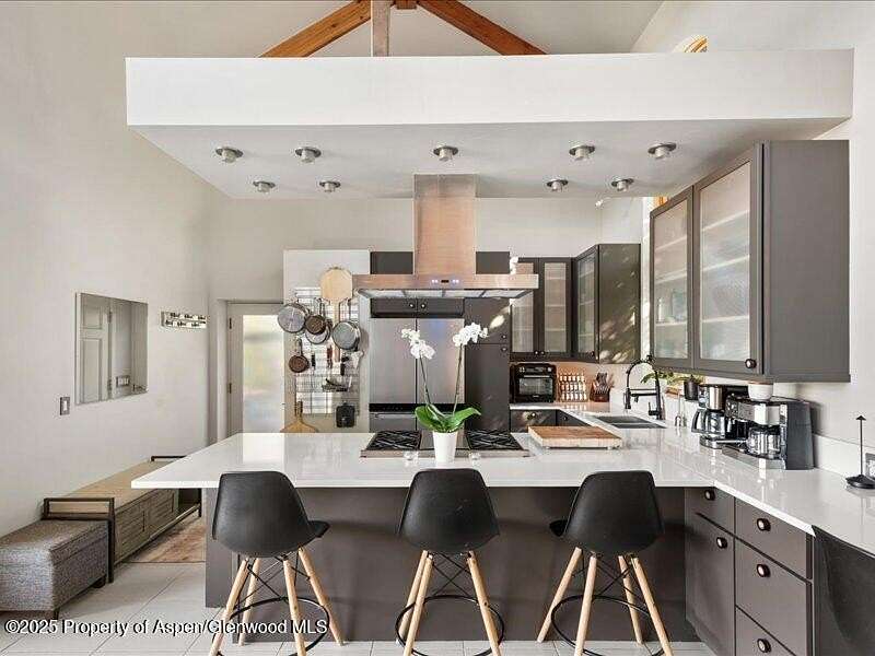 5 Acres of Residential Land with Home for Lease in Aspen, Colorado