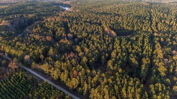64.6 Acres of Recreational Land for Sale in Edgefield, South Carolina