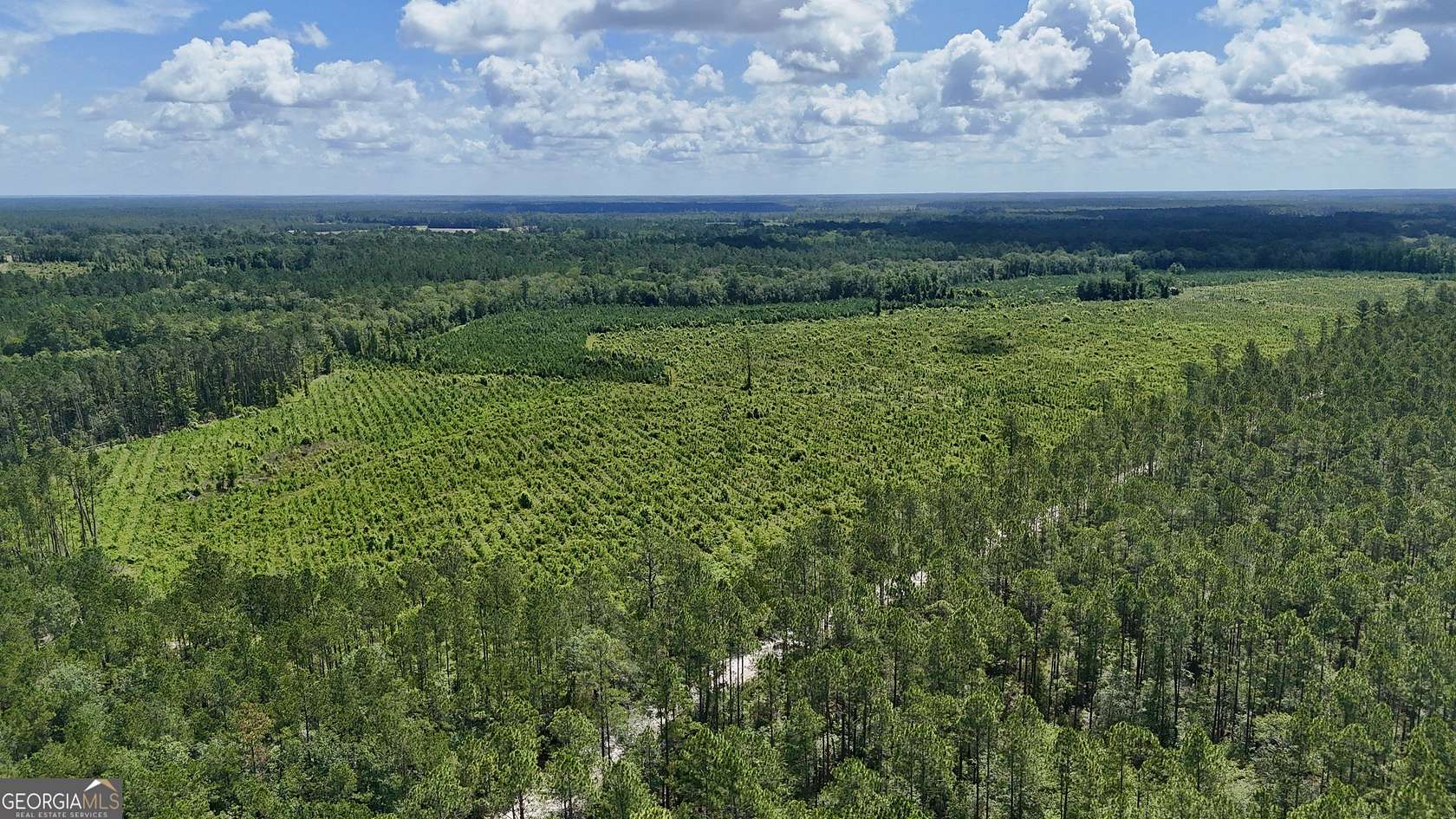 55 Acres of Recreational Land for Sale in Odum, Georgia