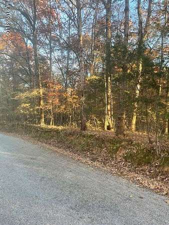 1 Acre of Residential Land for Sale in Byhalia, Mississippi