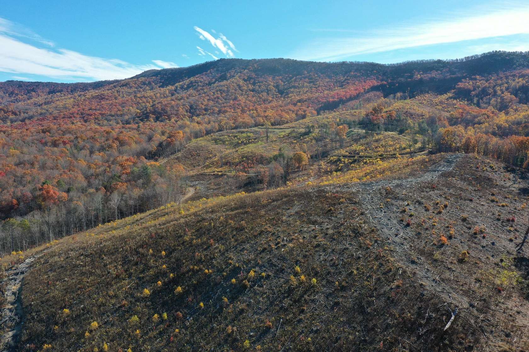 134 Acres of Land for Sale in Lexington, Virginia