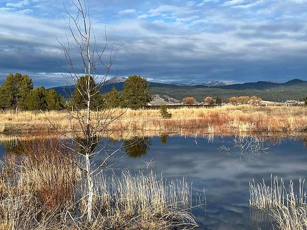 31.1 Acres of Mixed-Use Land for Sale in Donnelly, Idaho