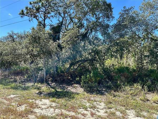 1 Acre of Residential Land for Sale in Frostproof, Florida
