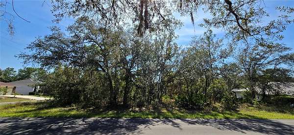 0.39 Acres of Residential Land for Sale in Homosassa, Florida
