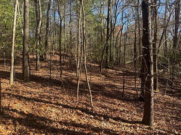 3 Acres of Land for Sale in Brasstown, North Carolina