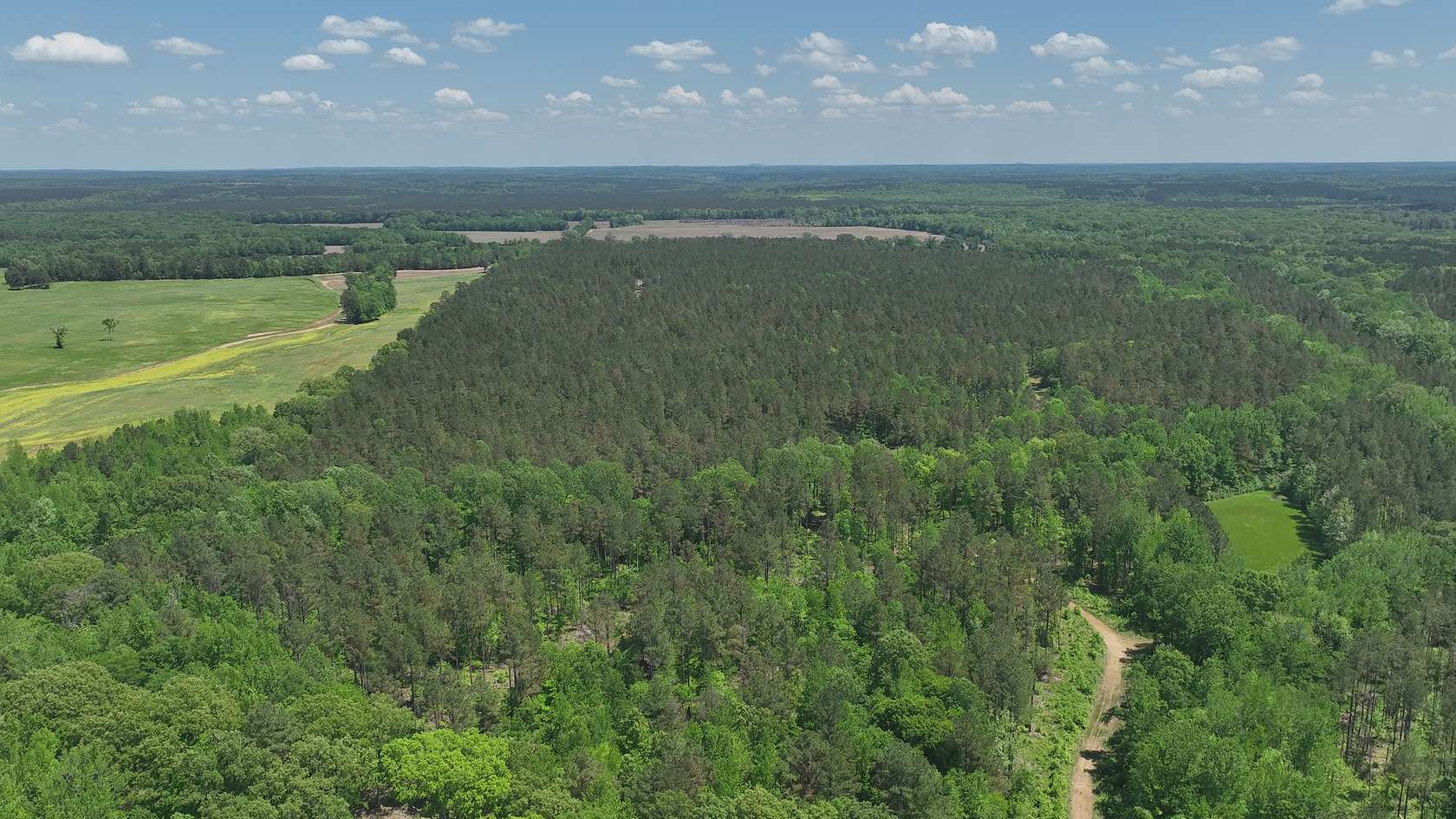 319 Acres of Land for Sale in Rienzi, Mississippi