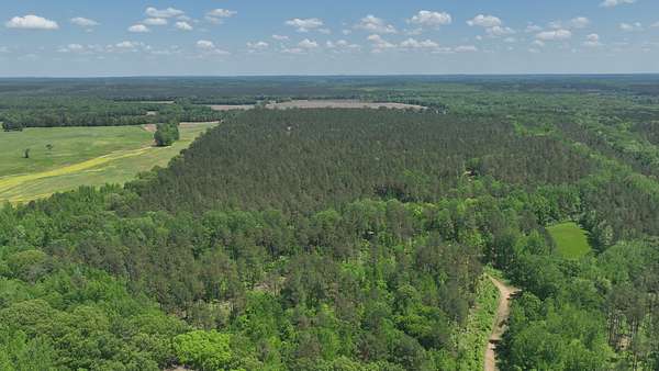 319 Acres of Land for Sale in Rienzi, Mississippi