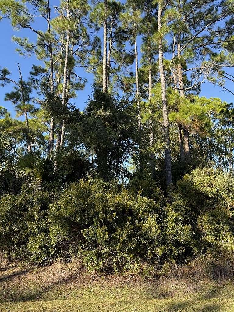 0.47 Acres of Residential Land for Sale in Port St. Joe, Florida