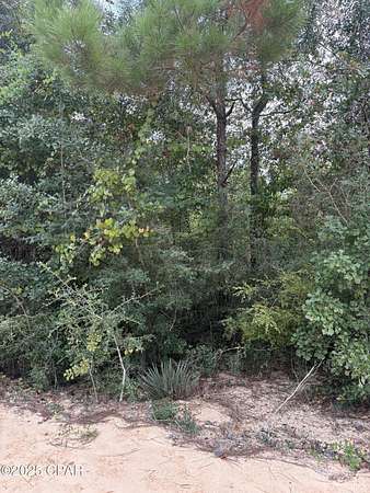 0.94 Acres of Residential Land for Sale in Alford, Florida