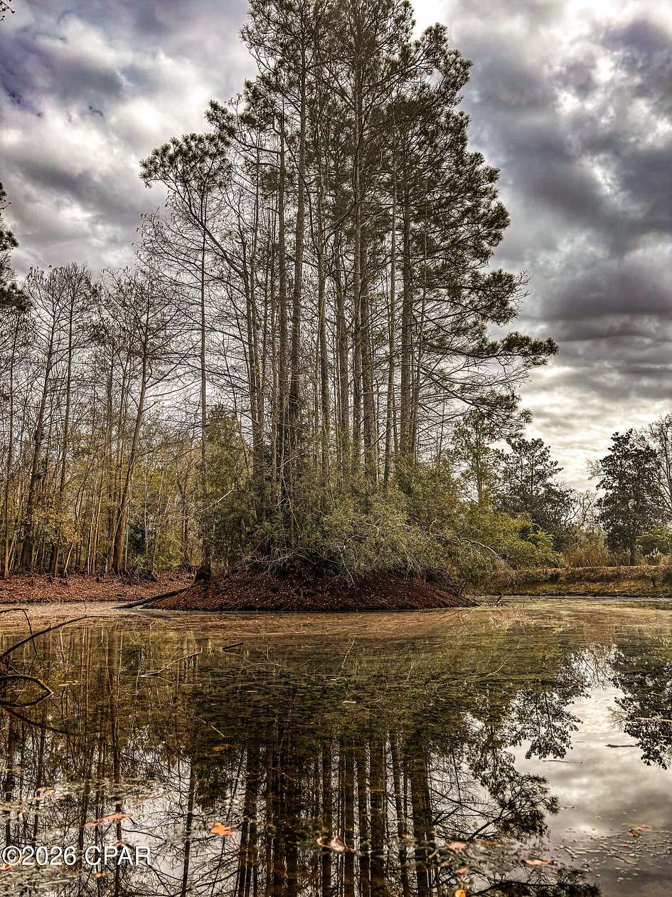 34 Acres of Recreational Land for Sale in Chipley, Florida