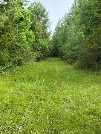 32.5 Acres of Recreational Land for Sale in Chipley, Florida