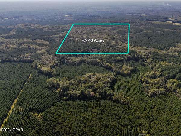 40 Acres of Recreational Land for Sale in Bonifay, Florida
