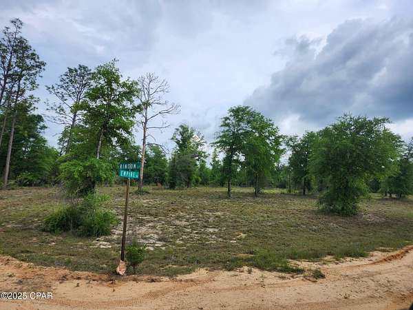 1 Acre of Residential Land for Sale in Alford, Florida