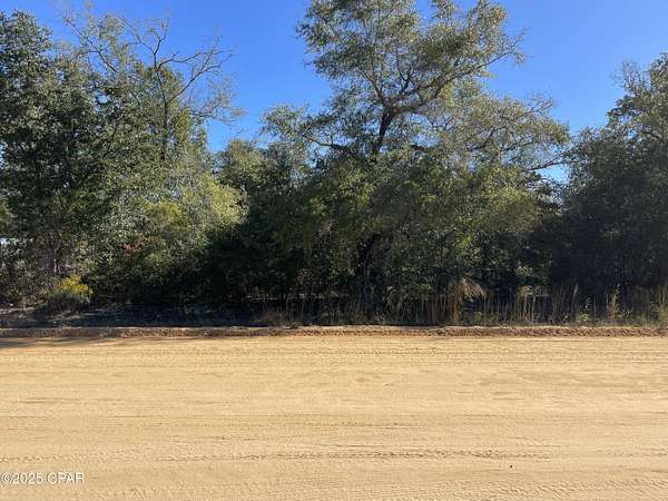 1 Acre of Land for Sale in Alford, Florida