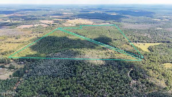 224 Acres of Recreational Land for Sale in Bonifay, Florida