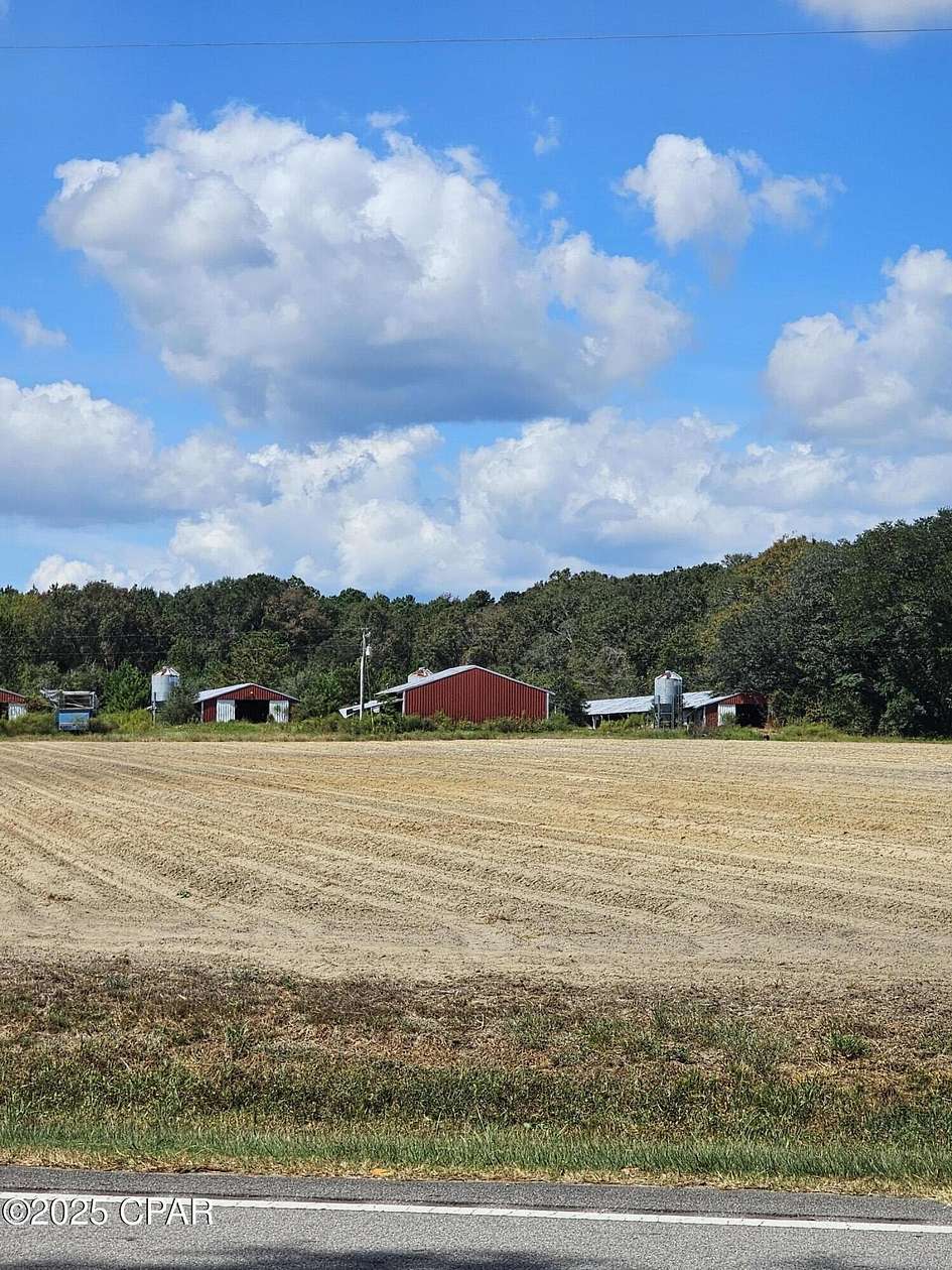 27.2 Acres of Agricultural Land for Sale in Westville, Florida