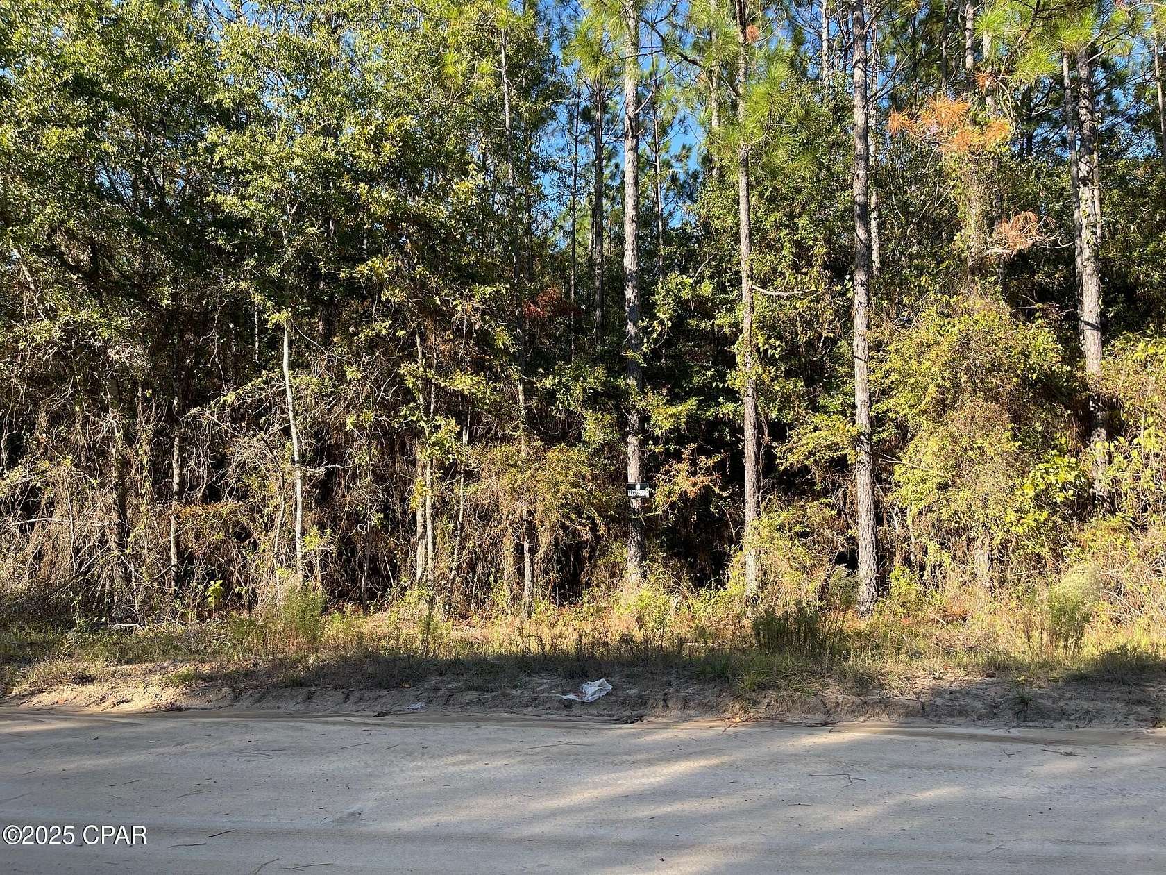 7.5 Acres of Land for Sale in Greenwood, Florida