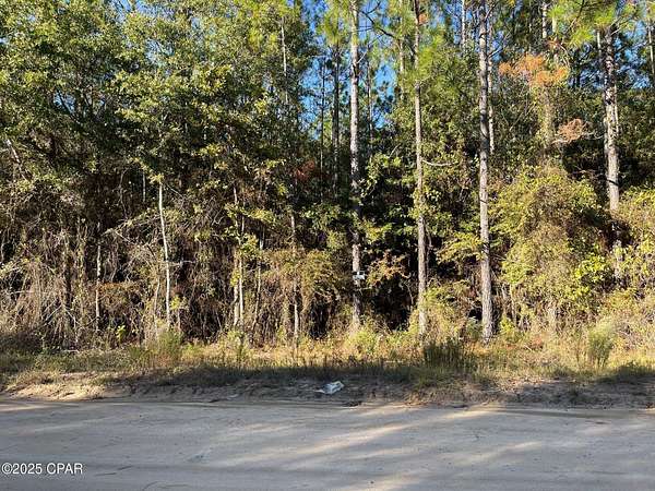7.5 Acres of Land for Sale in Greenwood, Florida